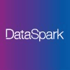 DataSpark logo